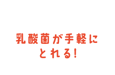 乳酸菌が手軽にとれる