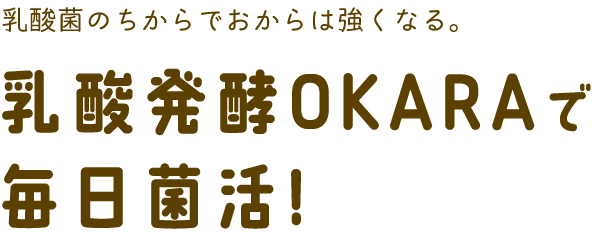 乳酸菌おからで毎日菌活